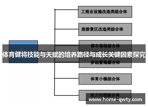 体育健将技能与天赋的培养路径与成长关键因素探究